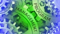 ÃÂ¡oncept PROGRAM MANAGEMENT on the Gears. Green and Blue gear weel background 3d illustration